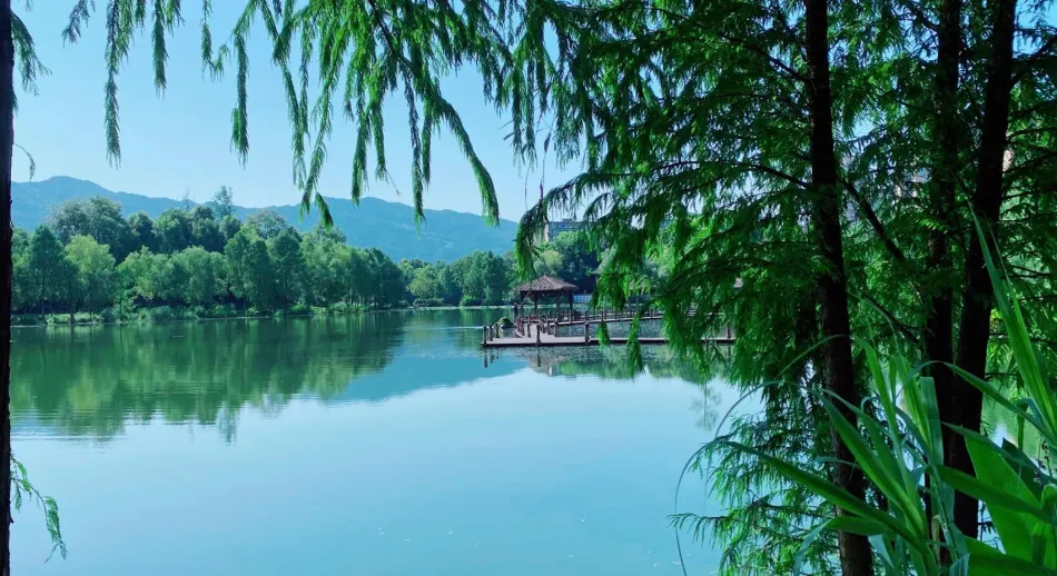 璧山区璧山区移动宽带